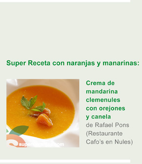 Descargar Receta - Crema de Mandarina Clemenules con Orejones y Canela