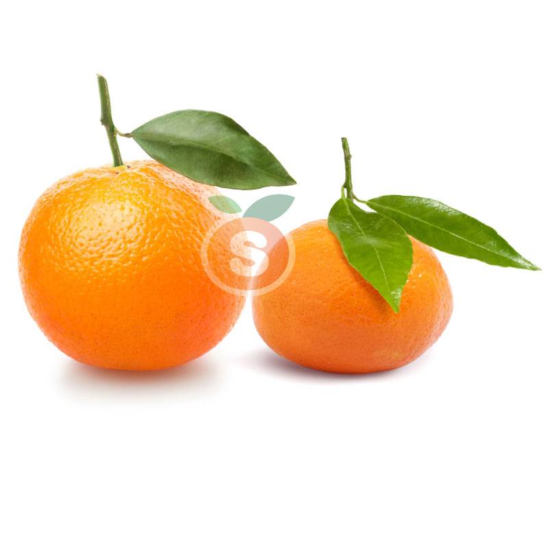 Mixed Oranges Navelina  and Mandarines Clemenules  5 kg