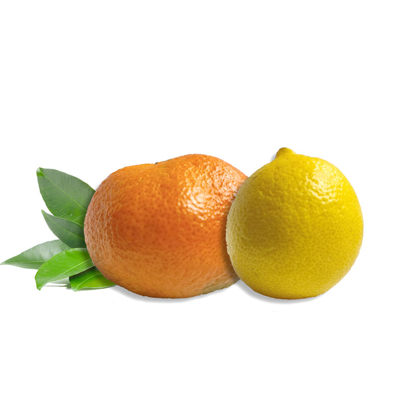 Mixta Mandarinas y Limones 10 Kg