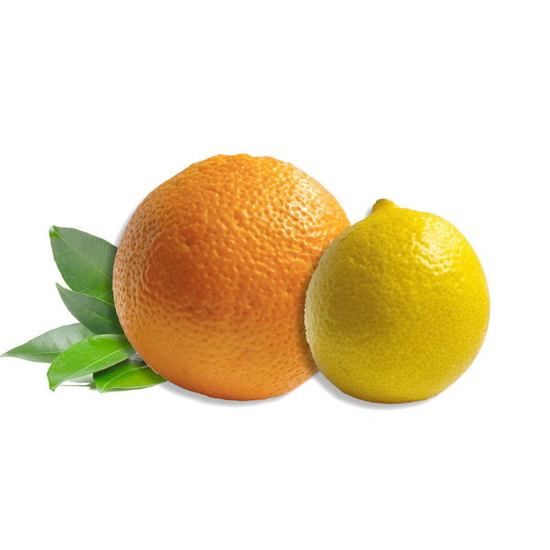Mixta Naranjas y Limones 10 kg
